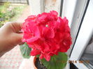 DSCN3272