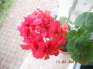 DSCN3273