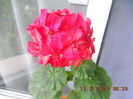 DSCN3274