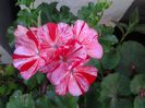 20140713_070415