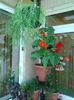 20140713_121440