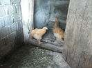 20140713_135336