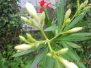 DSCN5668