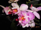 DSCN5674