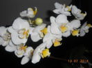 DSCN5679
