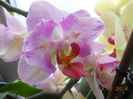 DSCN5682