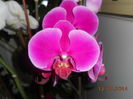 DSCN5683
