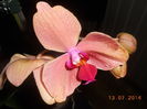 DSCN5687