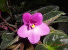 DSCN5649