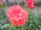 DSCN5672