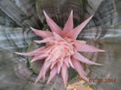 DSCN5644