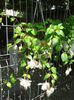 20140713_151454
