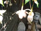 20140713_151516