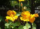 20140713_151527
