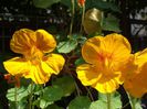 20140713_151533