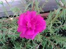 20140713_151548