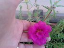 20140713_151559