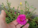 20140713_151604