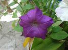 20140713_151619