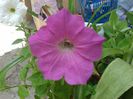 20140713_151623