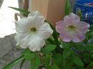 20140713_151628