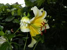 DSCN7437