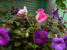 DSCN7448