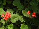 DSCN7462