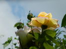 DSCN7475