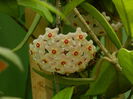 DSCN7502