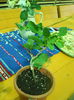DSCN6741