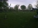 Photo0171