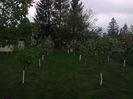 Photo0177
