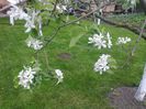 Photo0181