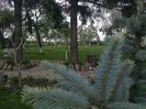 Photo0204