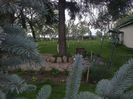 Photo0205