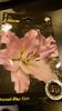 20140408_205728