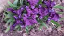 20140410_180708