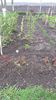 20140416_142819