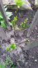 20140416_143118