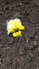 20140416_143326