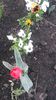 20140420_193156