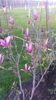 20140420_193329