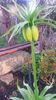 20140420_193438
