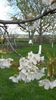 20140422_164559