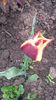20140425_083734