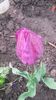 20140425_083743