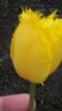 20140425_083828