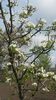 20140425_103103