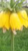 20140425_194001